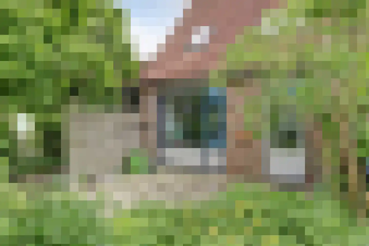 Cornelie van Oosterzeestraat 11 Gorinchem thumbnail 21