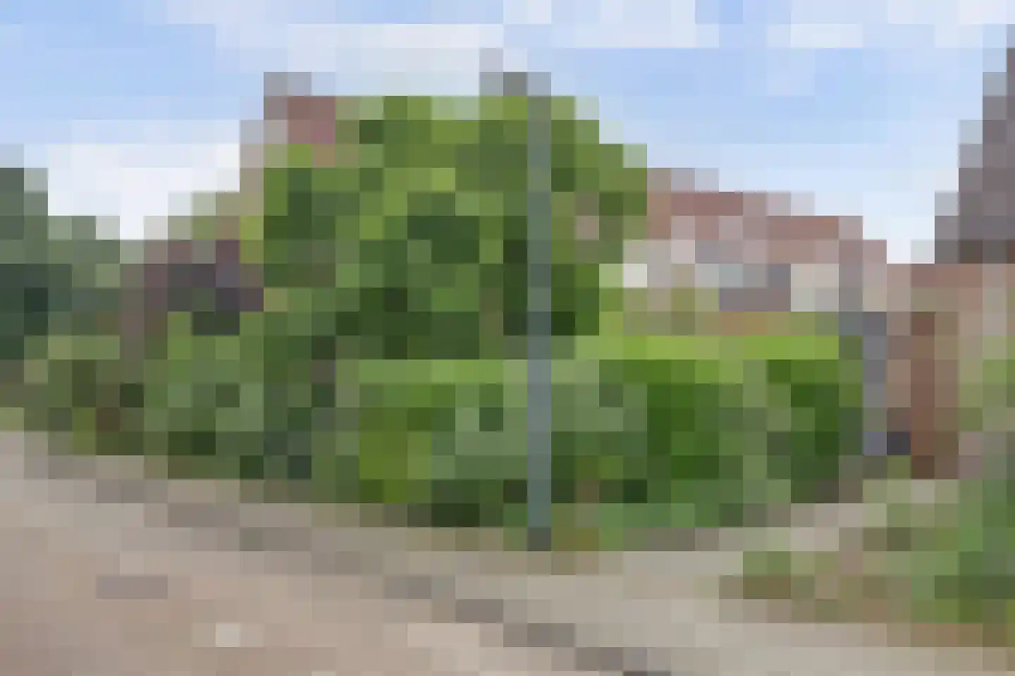 Cornelie van Oosterzeestraat 11 Gorinchem thumbnail 41