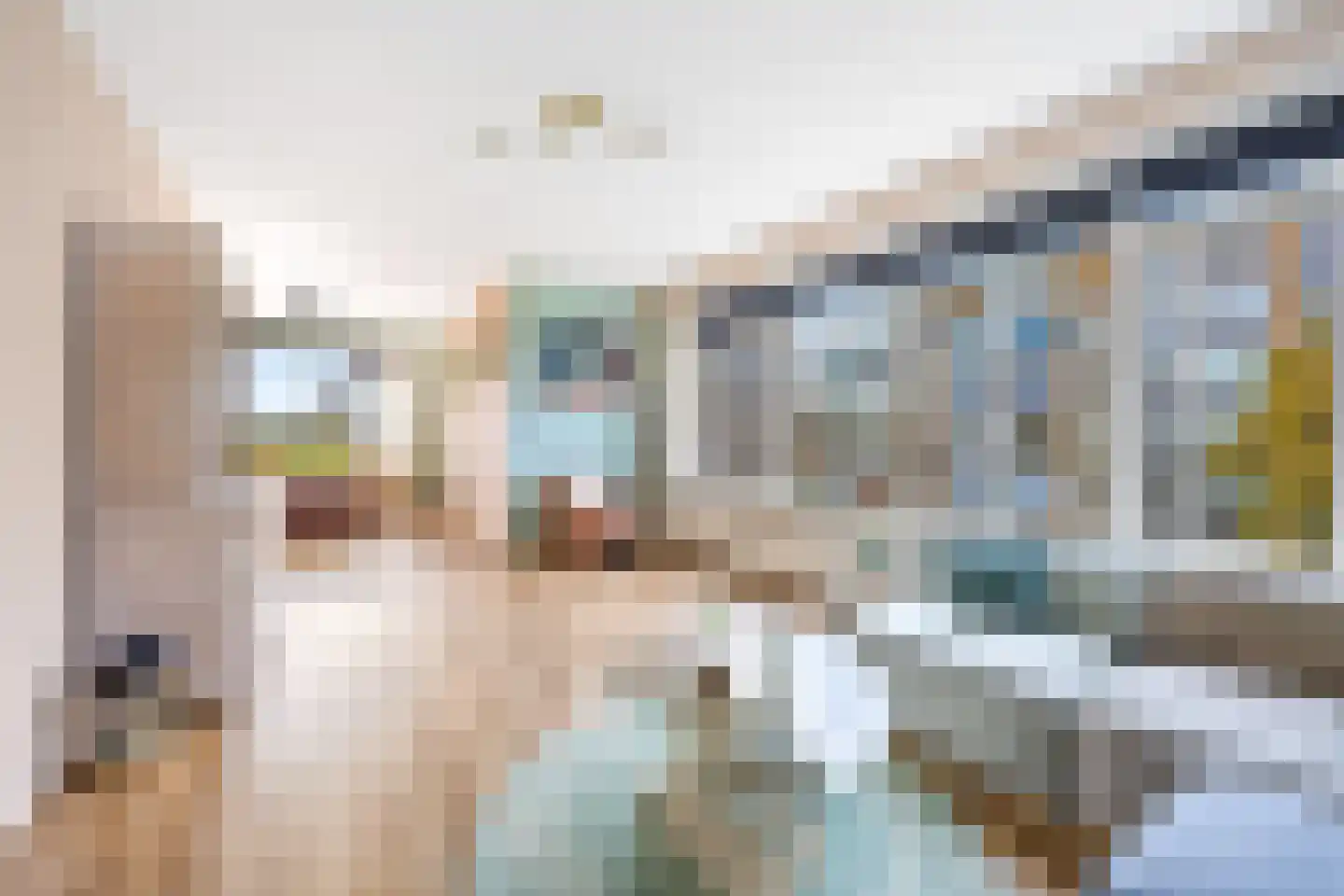 Cornelie van Zantenstraat 14 Den Haag thumbnail 11