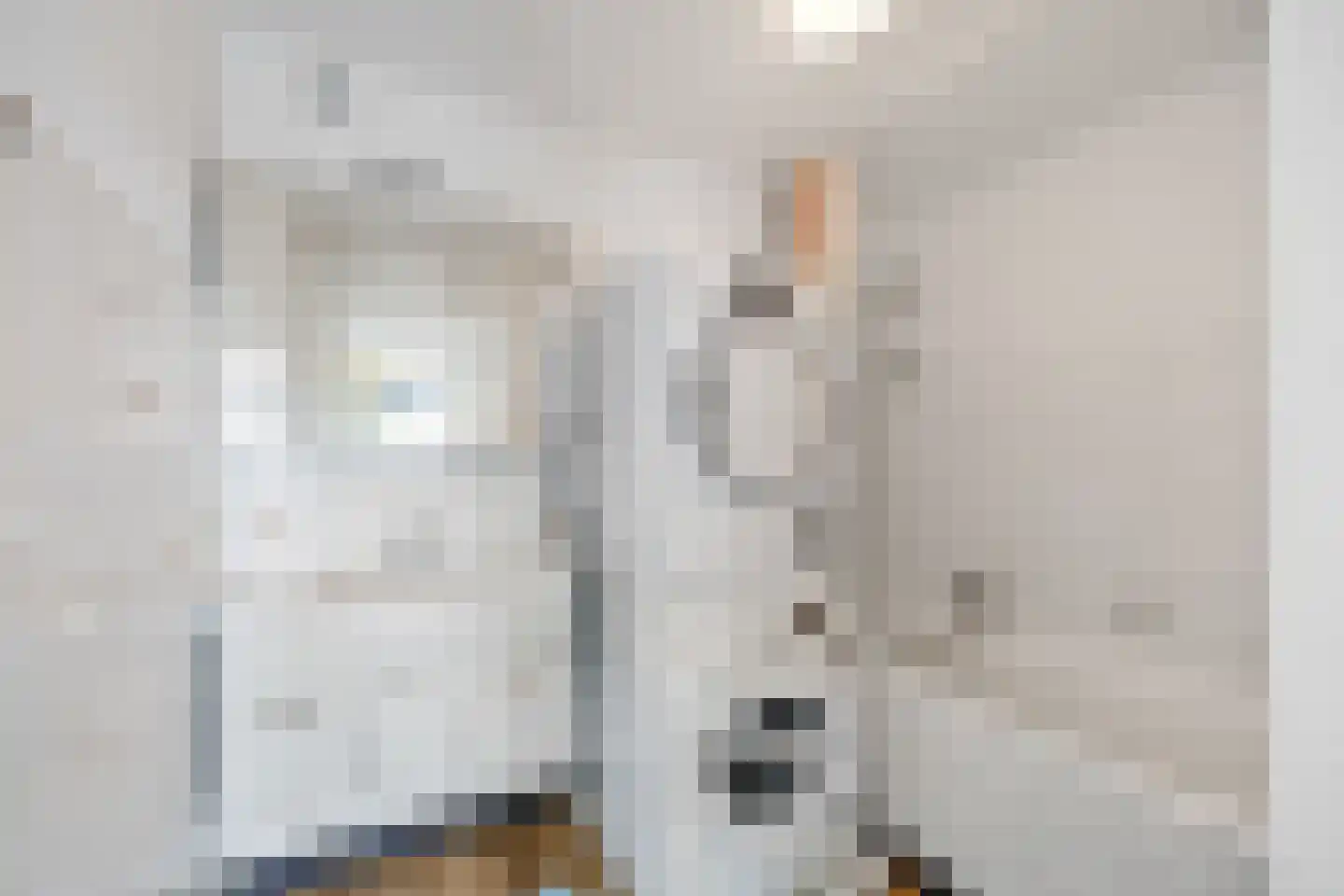 Cornelie van Zantenstraat 14 Den Haag thumbnail 18