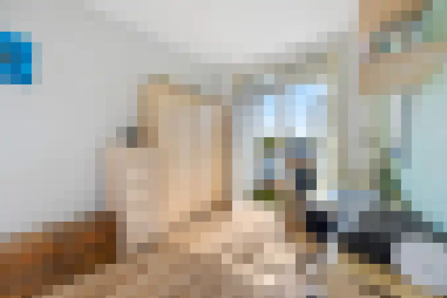Cornelie van Zantenstraat 14 Den Haag thumbnail 21