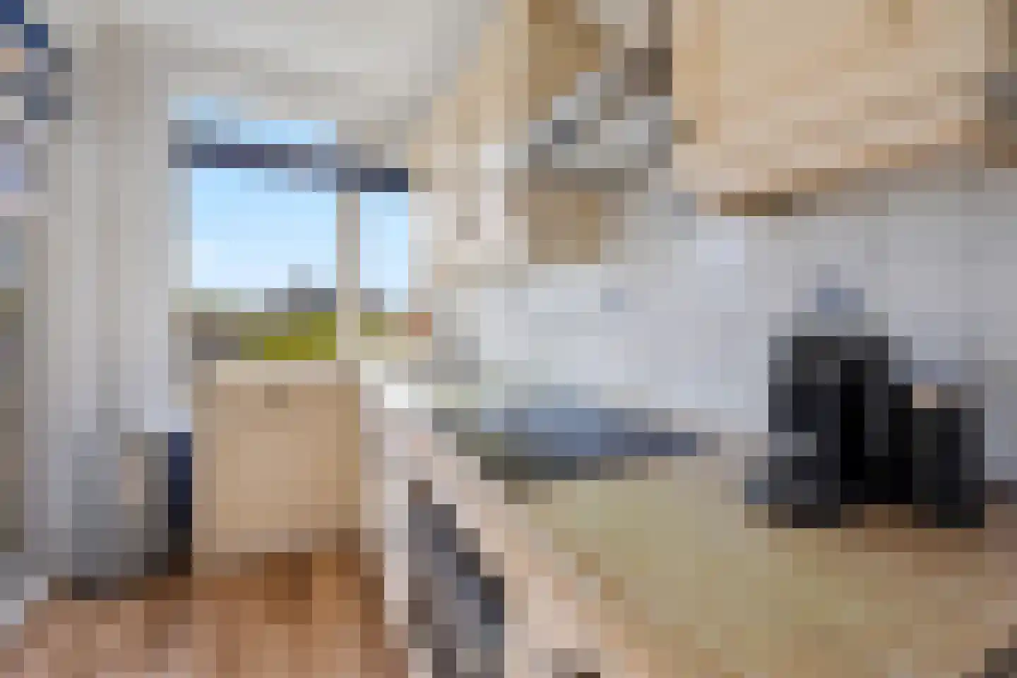 Cornelie van Zantenstraat 14 Den Haag thumbnail 22