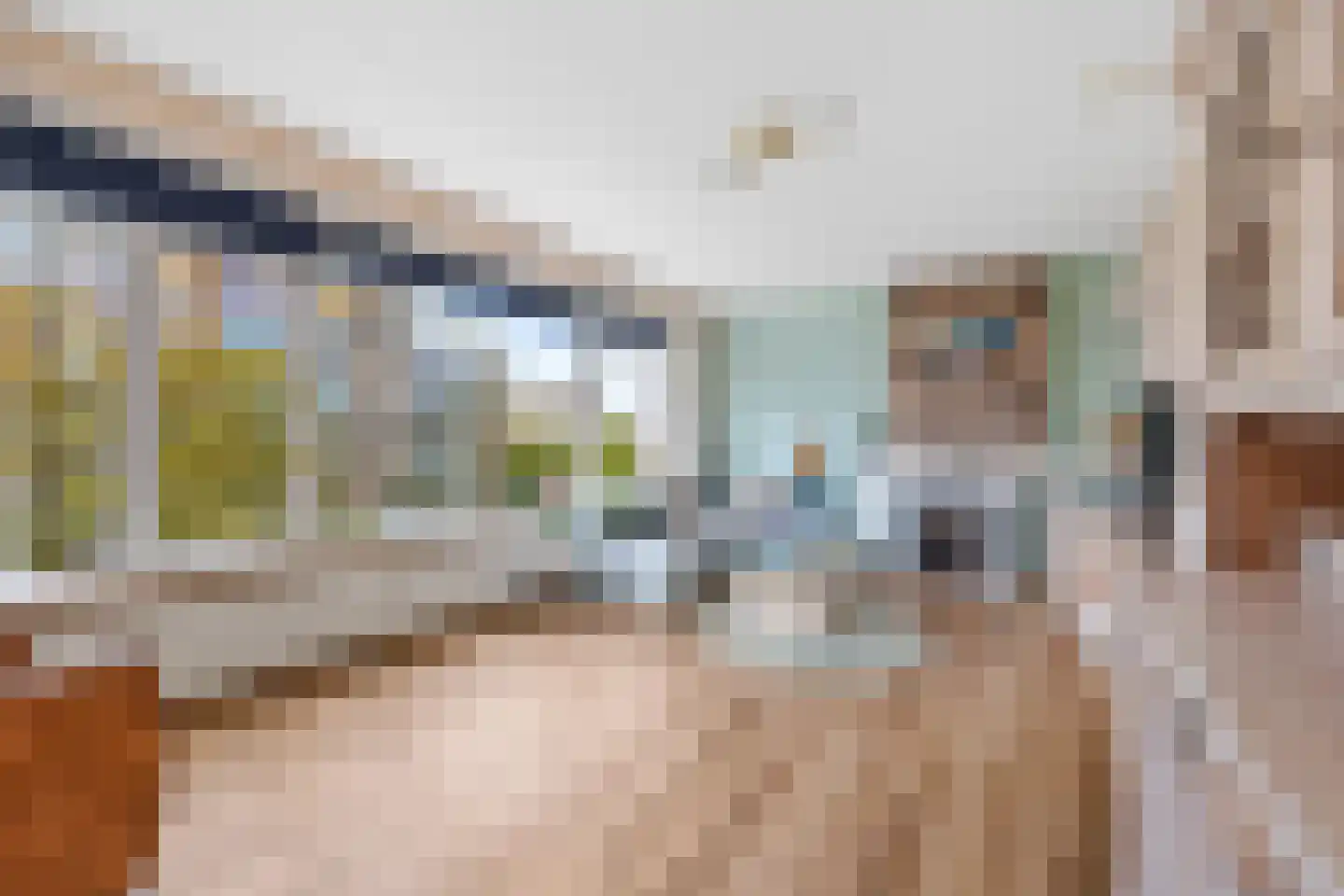 Cornelie van Zantenstraat 14 Den Haag thumbnail 8