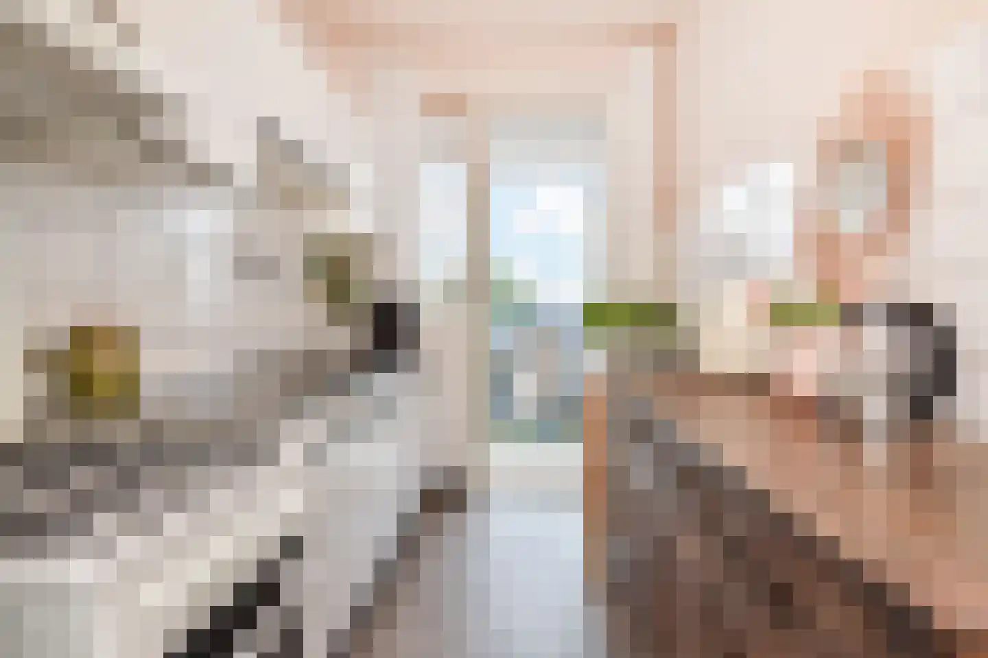 Cornelie van Zantenstraat 192 Den Haag thumbnail 16