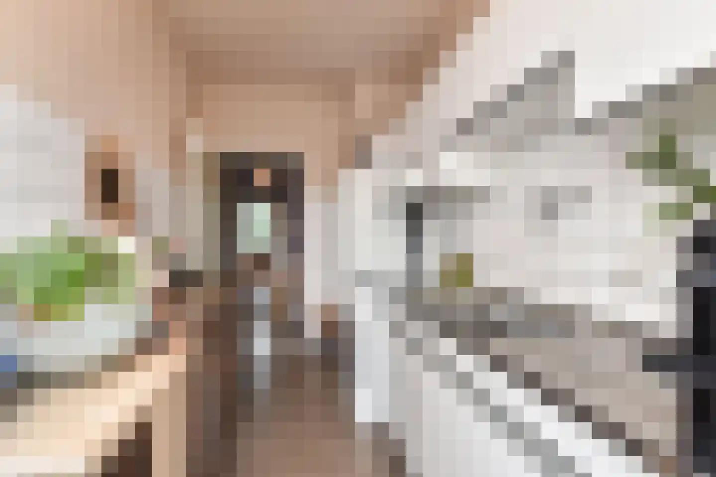 Cornelie van Zantenstraat 192 Den Haag thumbnail 17