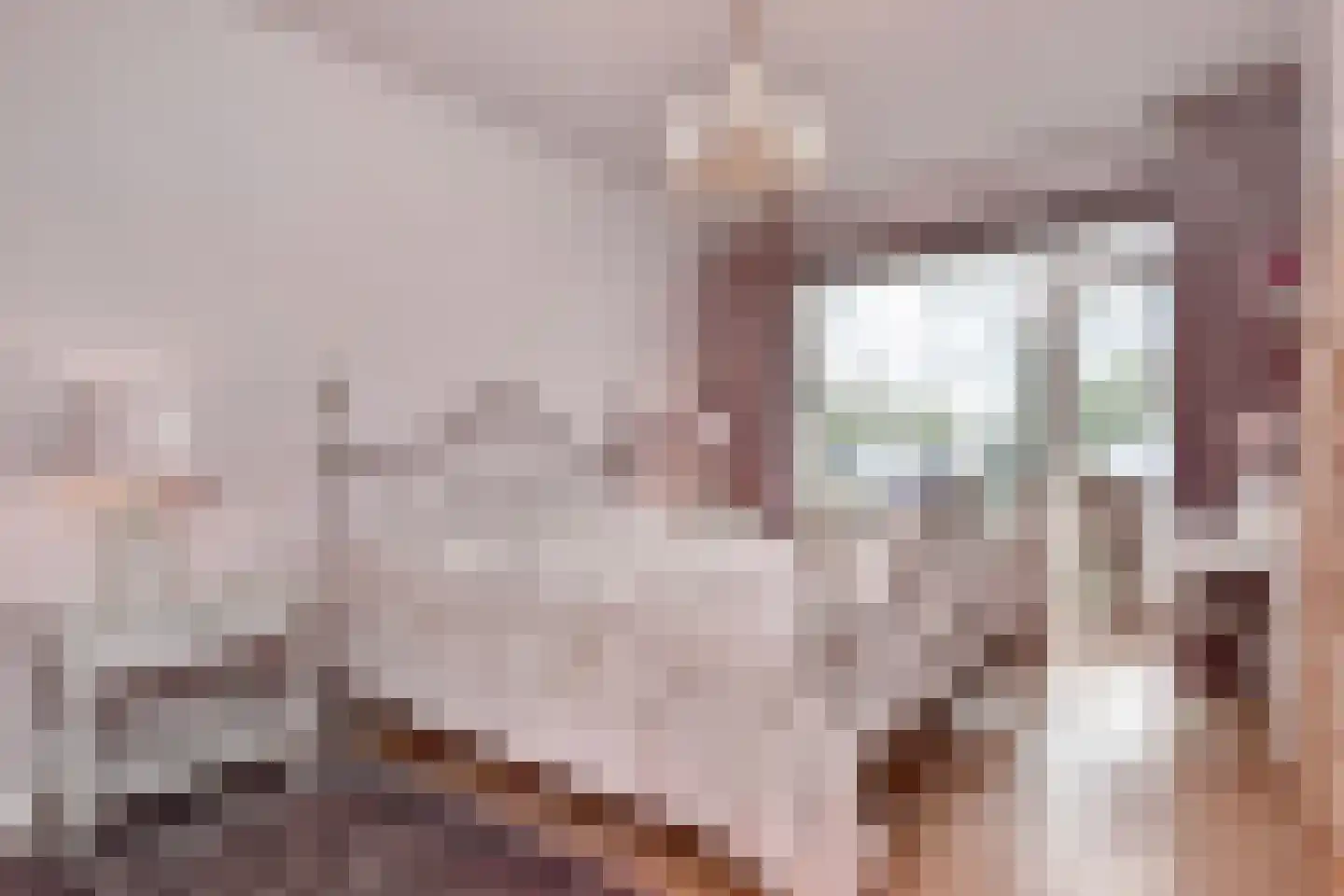 Cornelie van Zantenstraat 192 Den Haag thumbnail 18