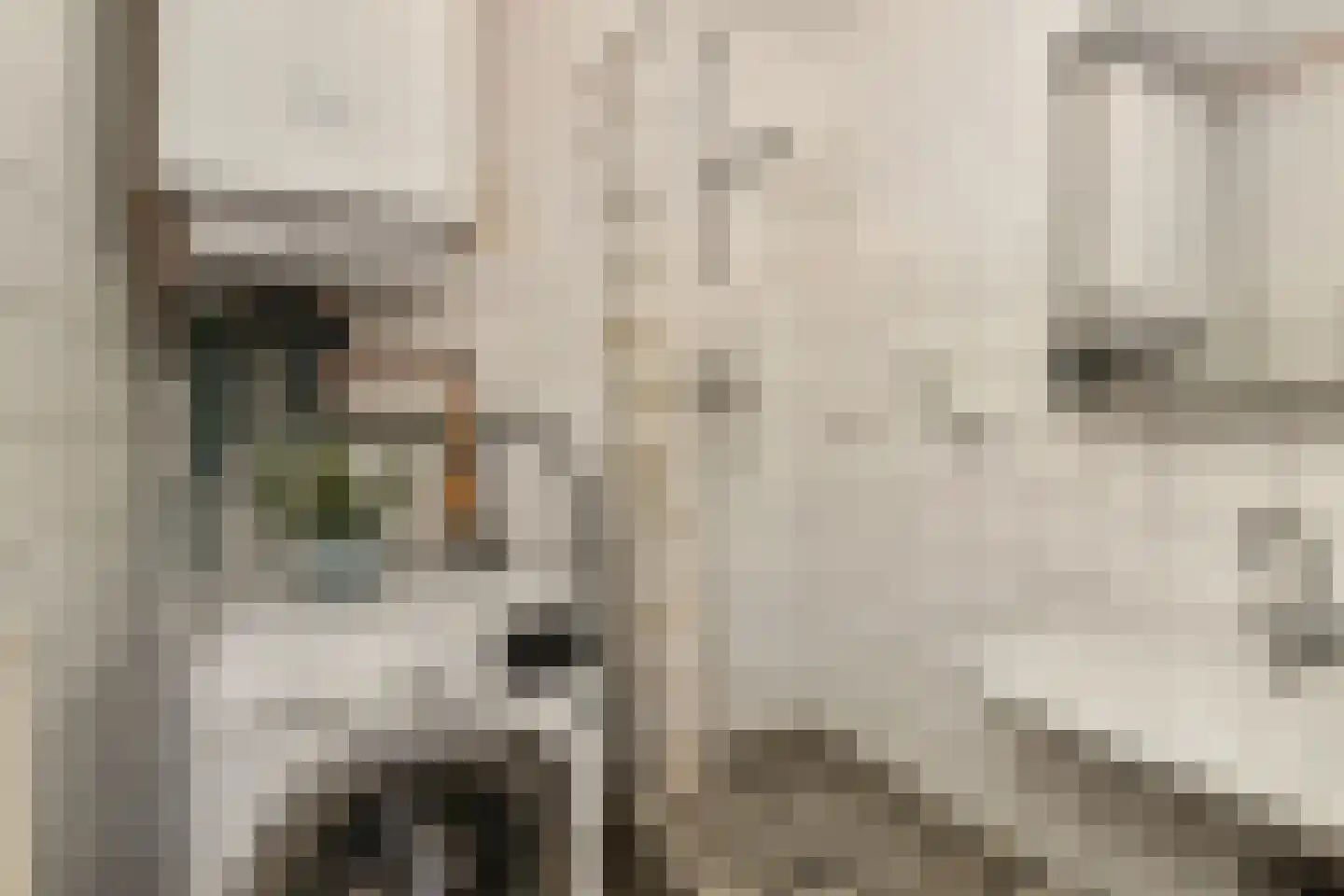 Cornelie van Zantenstraat 192 Den Haag thumbnail 24