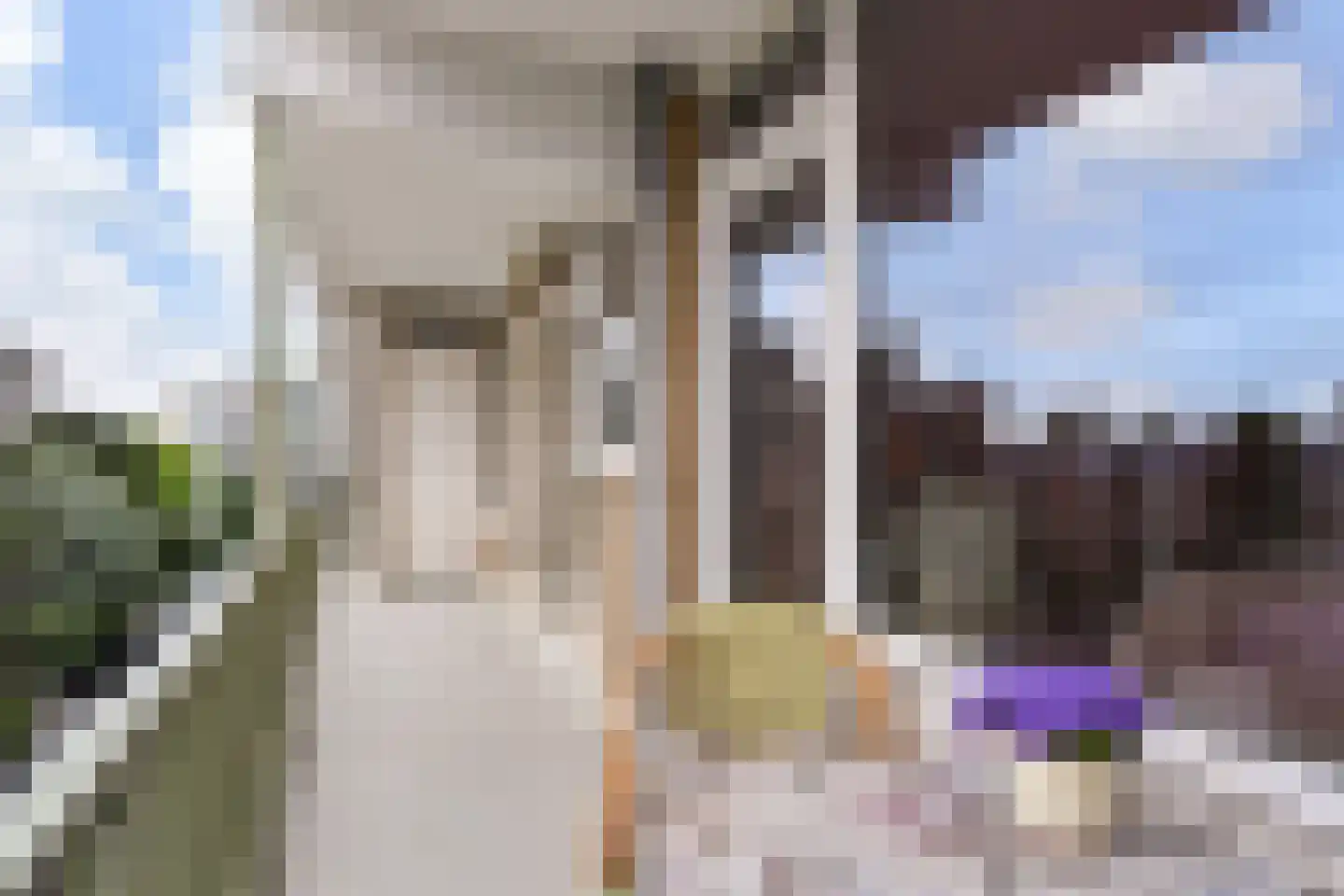 Cornelie van Zantenstraat 192 Den Haag thumbnail 27