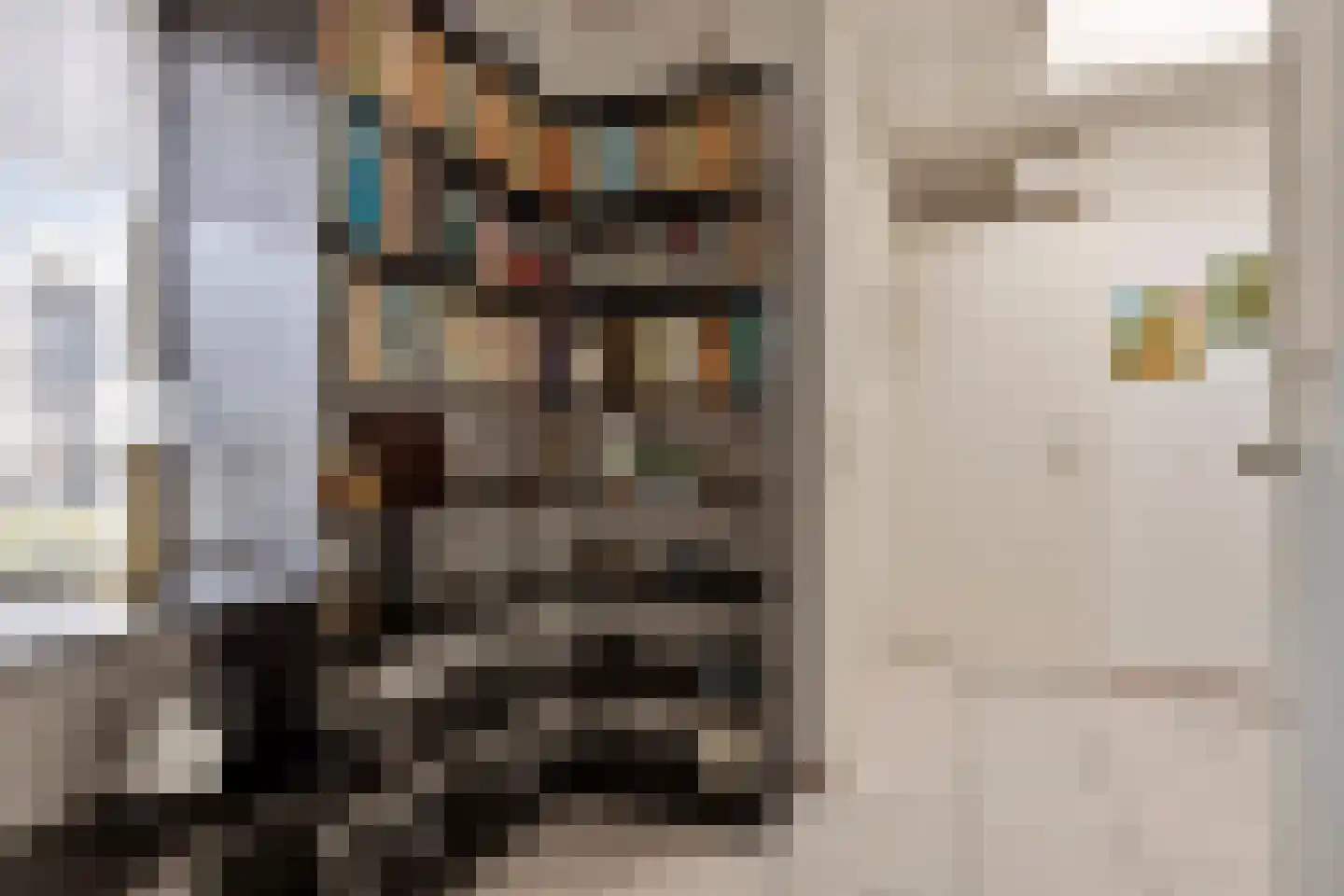 Cornelie van Zantenstraat 31 Leiden thumbnail 13