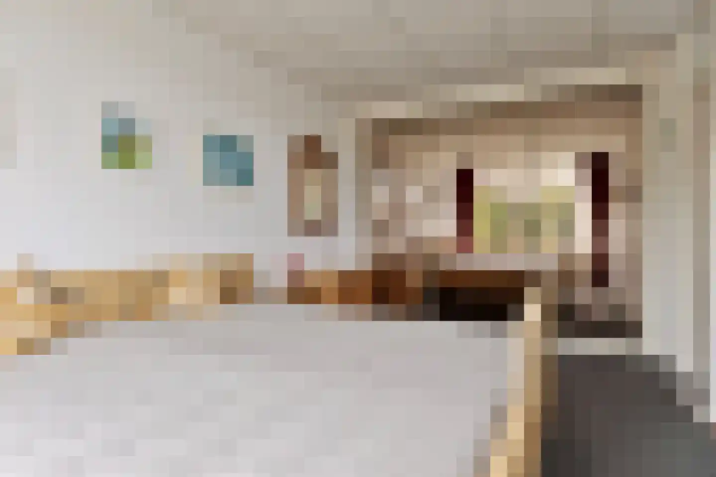 Cornelie van Zantenstraat 31 Leiden thumbnail 17