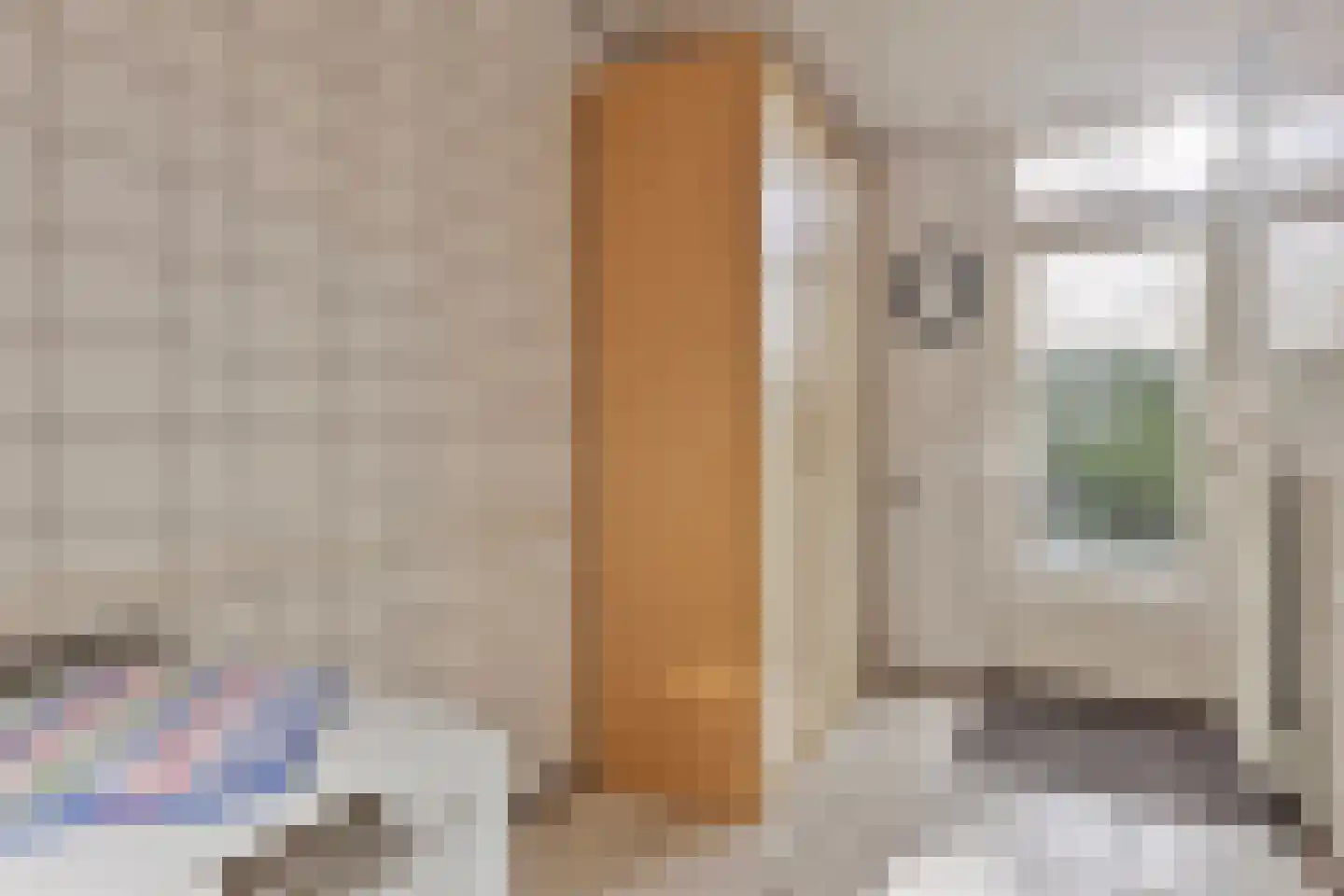 Cornelie van Zantenstraat 31 Leiden thumbnail 21