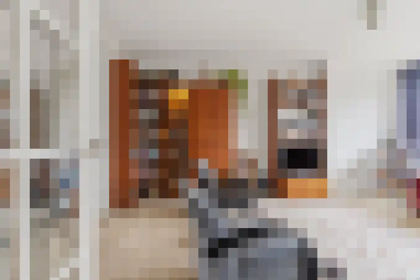 Cornelie van Zantenstraat 42 Den Haag thumbnail 12