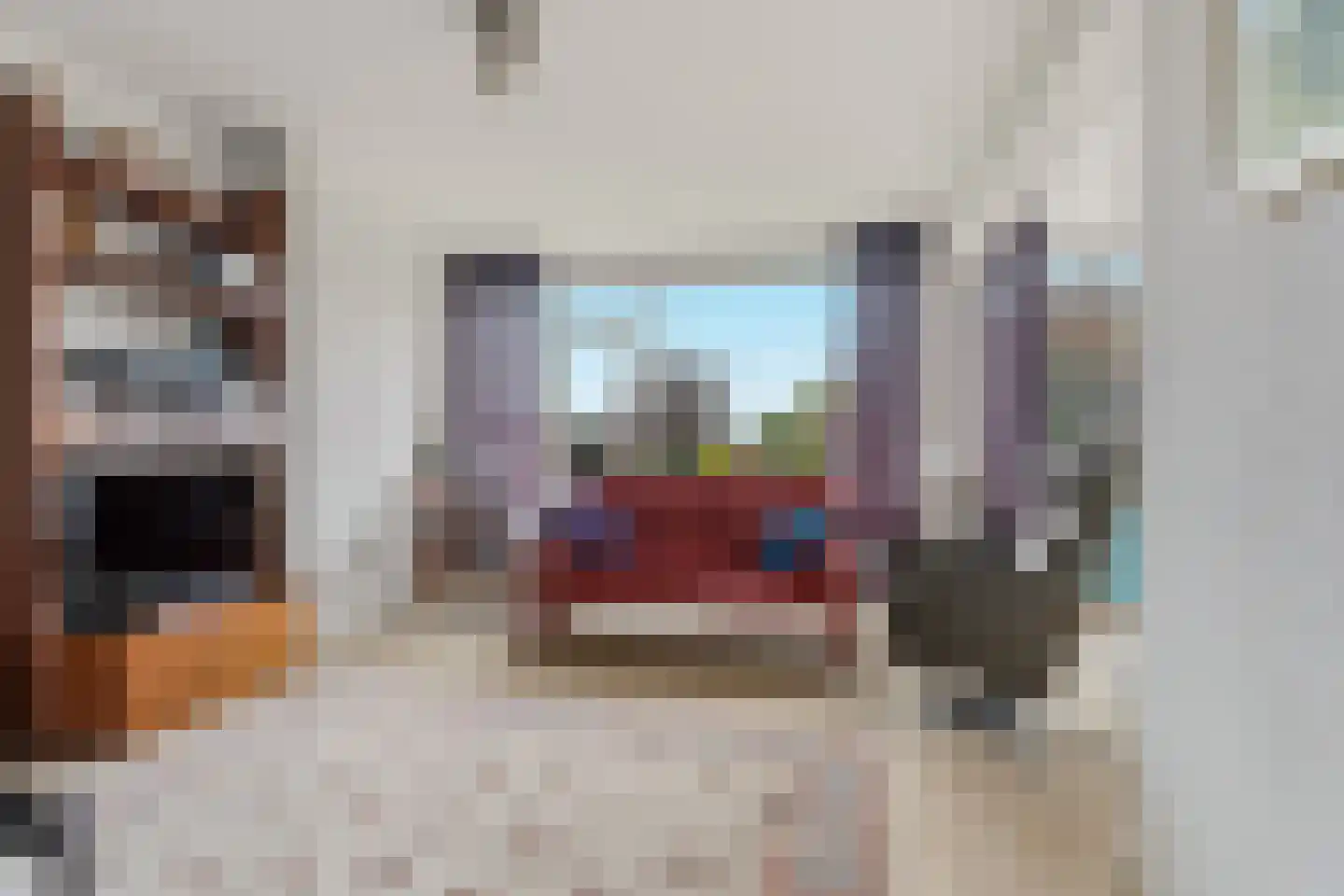 Cornelie van Zantenstraat 42 Den Haag thumbnail 15