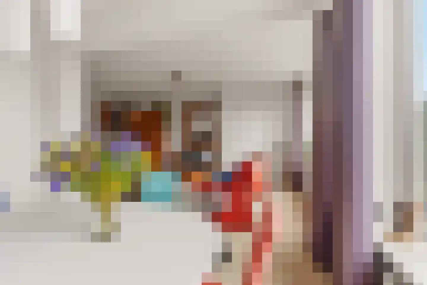 Cornelie van Zantenstraat 42 Den Haag thumbnail 19