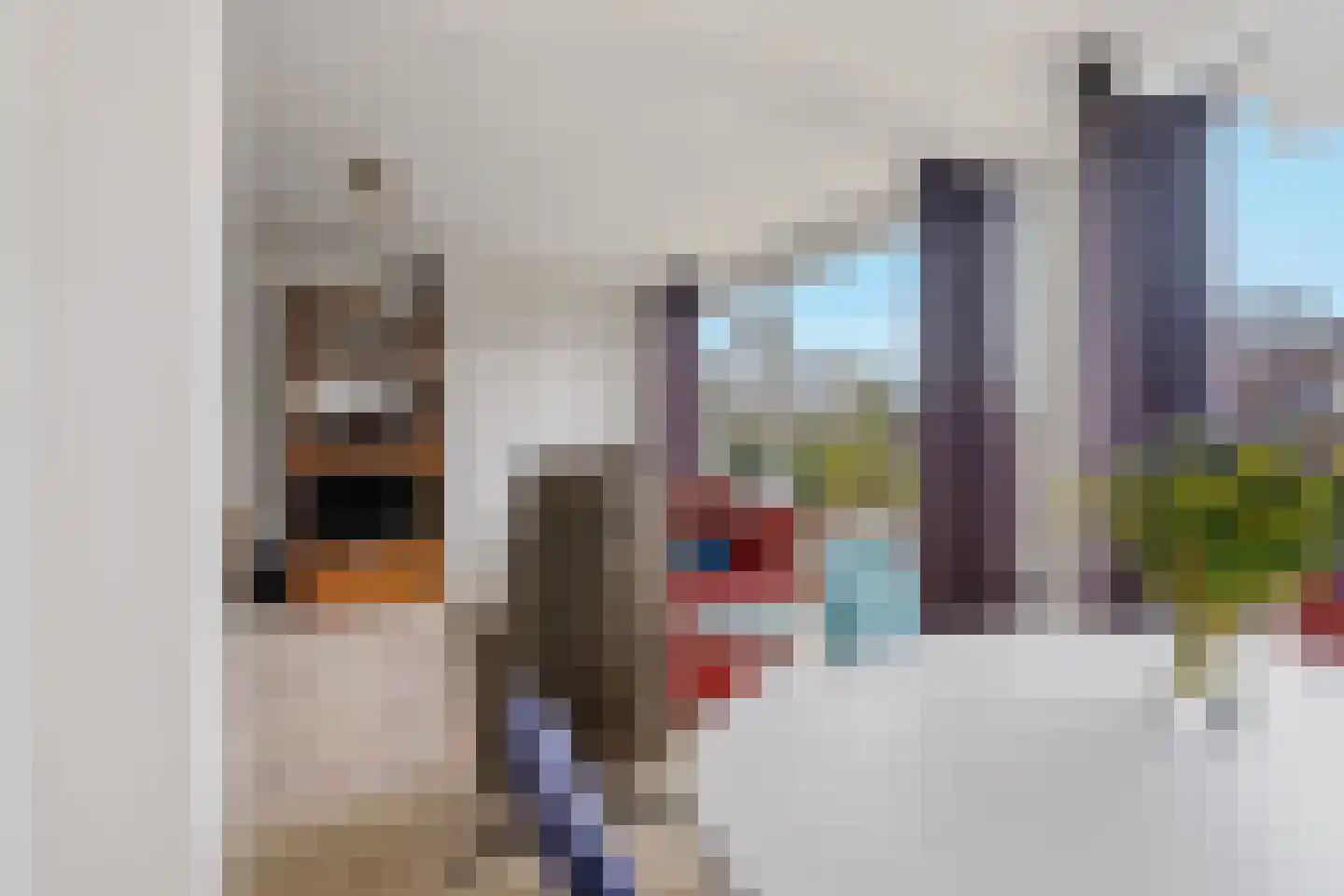 Cornelie van Zantenstraat 42 Den Haag thumbnail 20