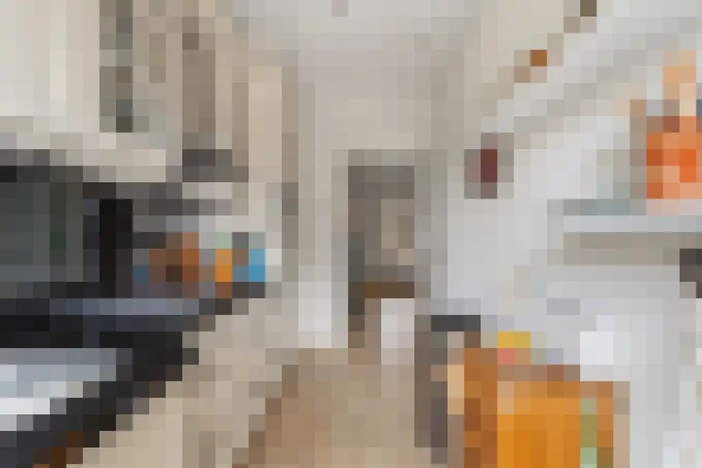 Cornelie van Zantenstraat 42 Den Haag thumbnail 36