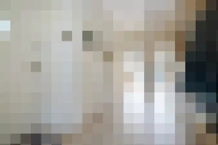 Cornelie van Zantenstraat 72 Den Haag thumbnail 13