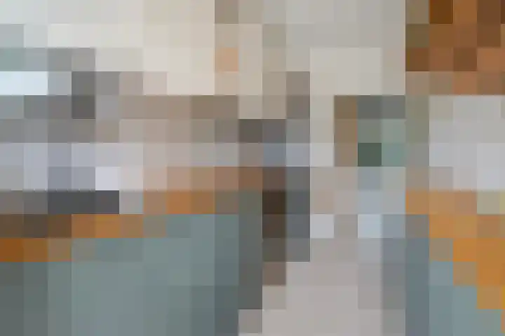 Cornelie van Zantenstraat 72 Den Haag thumbnail 15