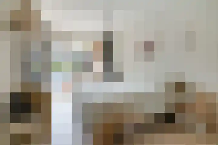 Cornelie van Zantenstraat 72 Den Haag thumbnail 22
