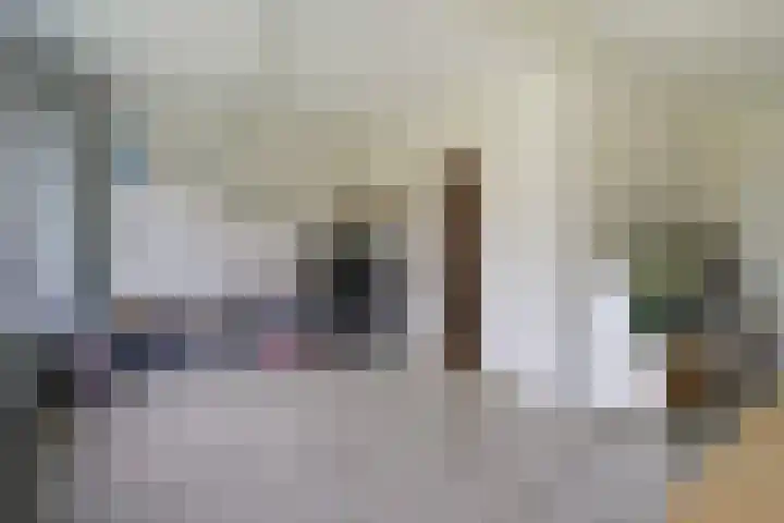 Cornelie van Zantenstraat 72 Den Haag thumbnail 8