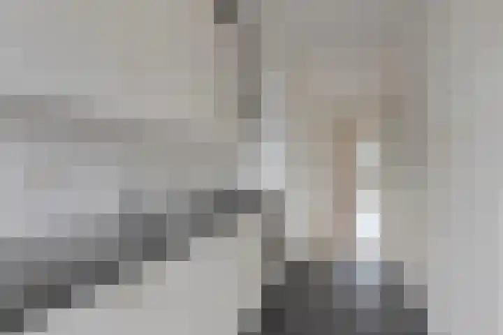 Cornelie van Zantenstraat 74 Den Haag thumbnail 8
