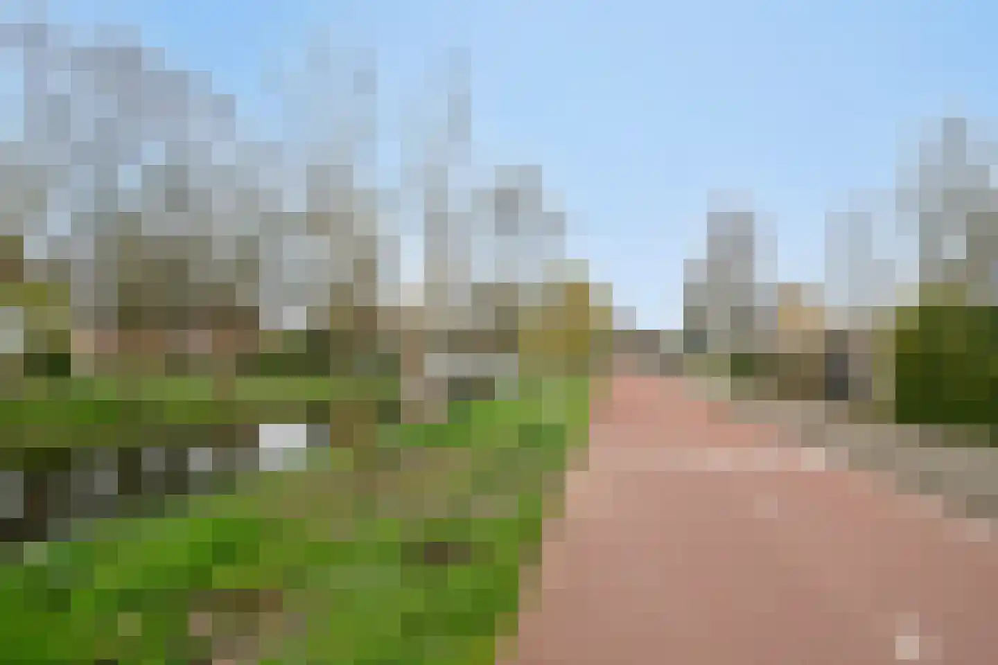Cornelis Aarnoutsstraat 185 Amsterdam thumbnail 31