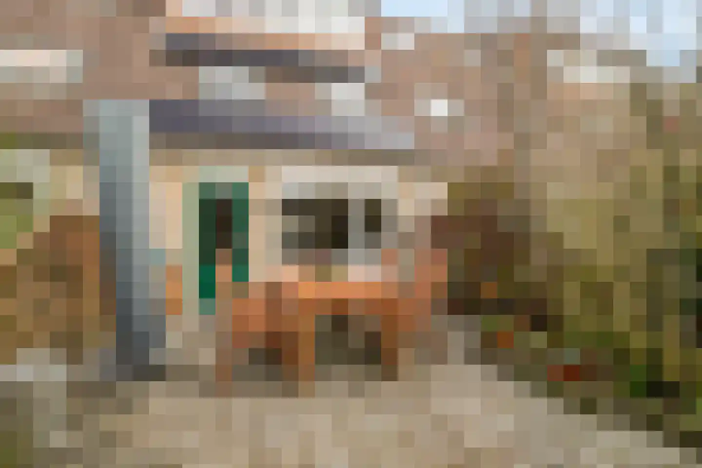 Cornelis Aarnoutsstraat 185 Amsterdam thumbnail 4