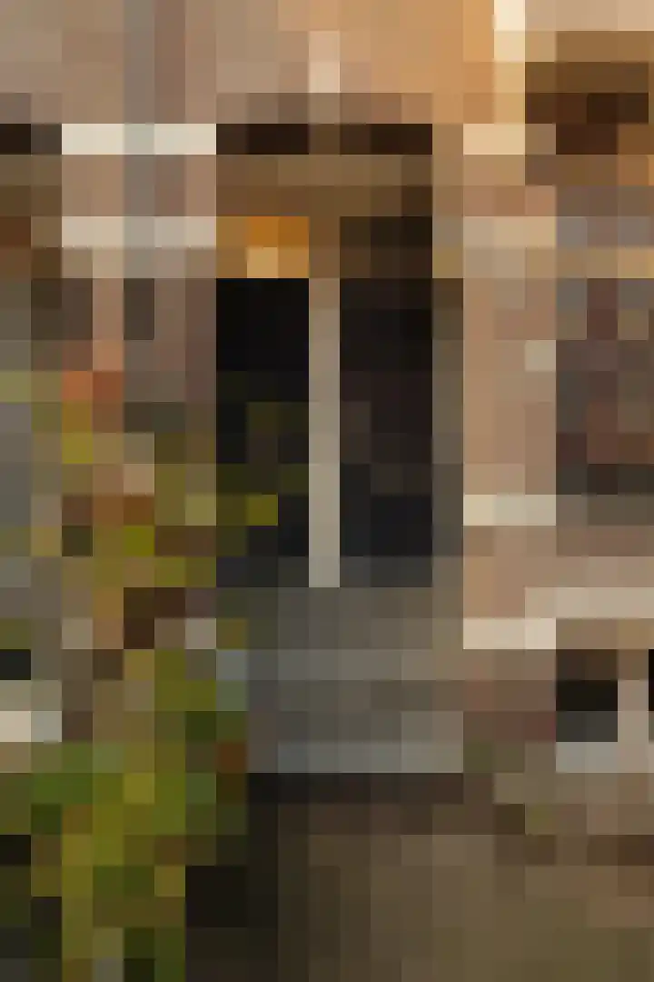 Cornelis Anthoniszstraat 11 1 Amsterdam thumbnail 5