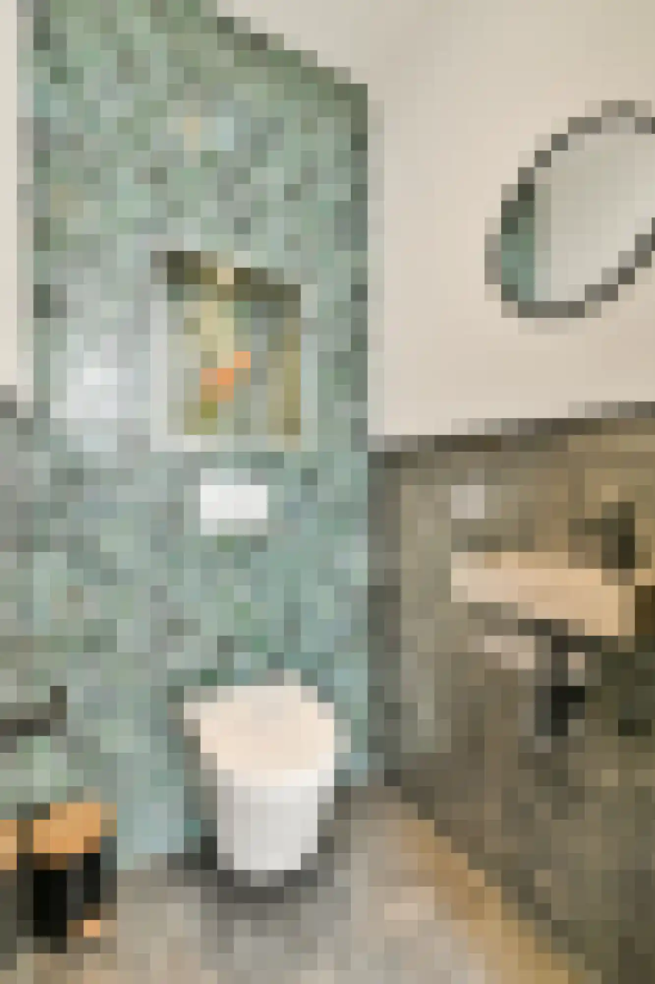 Cornelis Anthoniszstraat 20 4 Amsterdam thumbnail 13