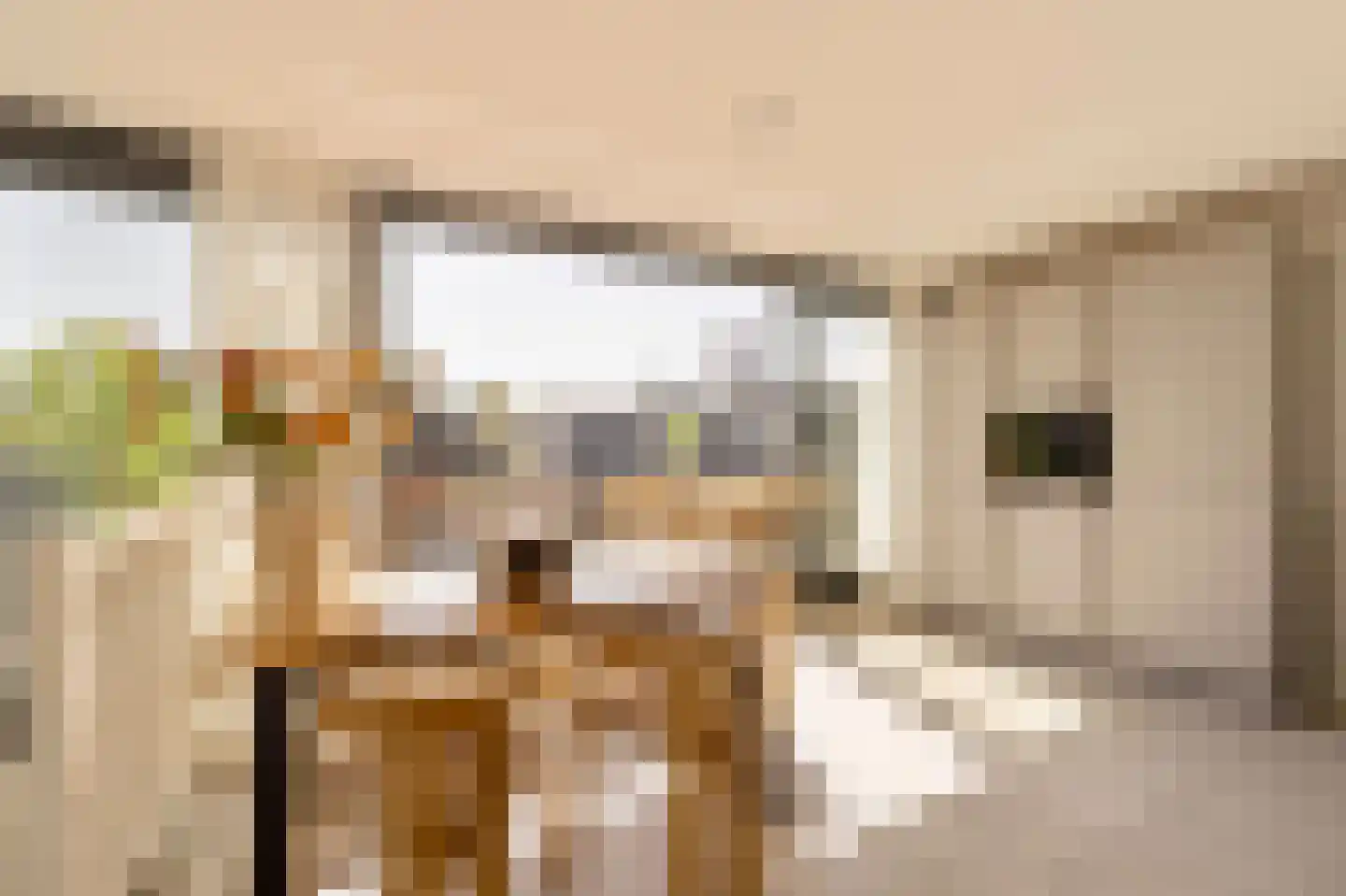 Cornelis Anthoniszstraat 21 3 Amsterdam thumbnail 6