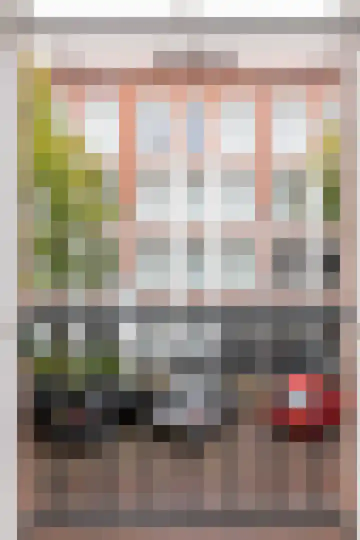 Cornelis Anthoniszstraat 27 3 Amsterdam thumbnail 15