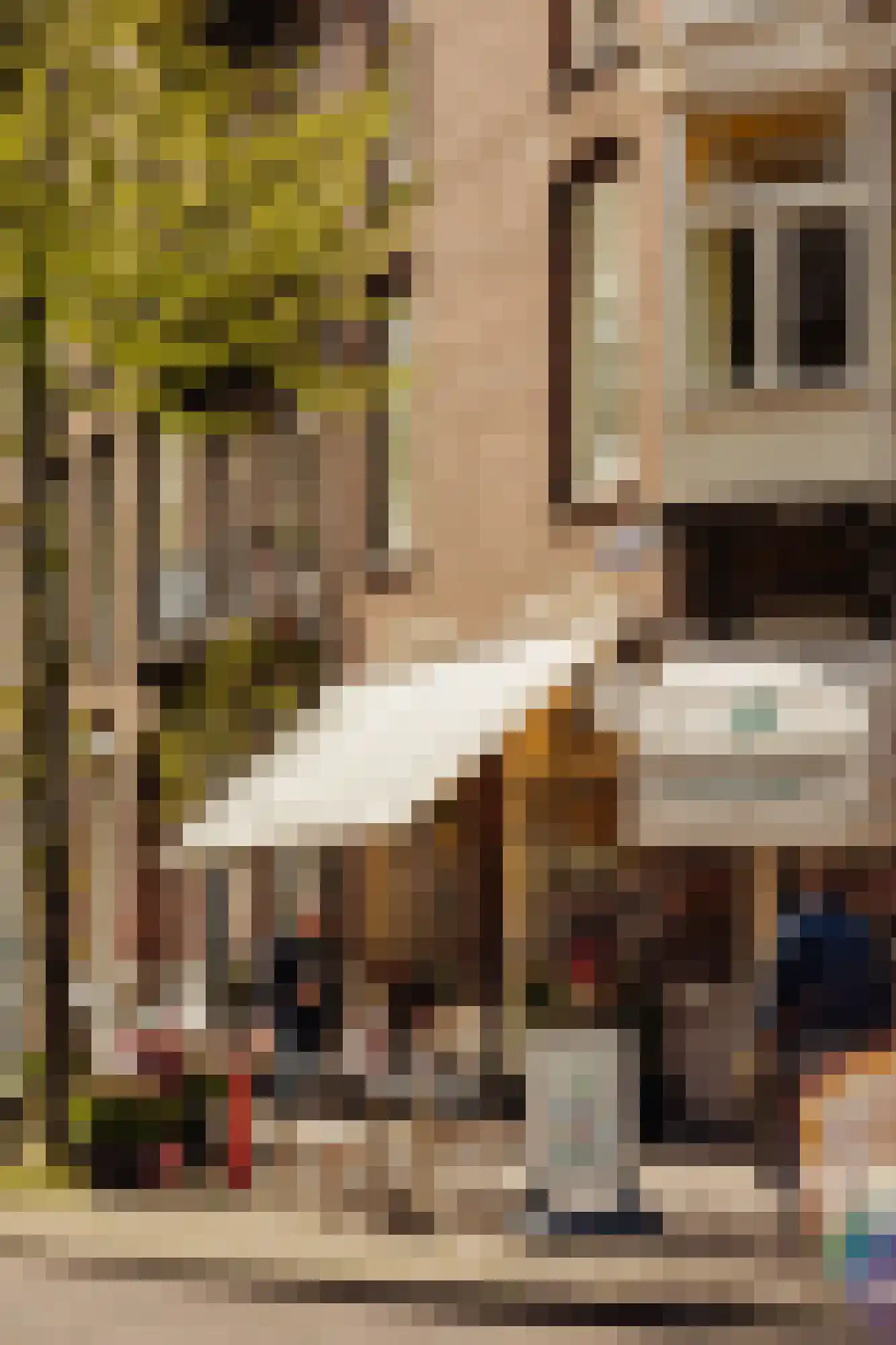 Cornelis Anthoniszstraat 39 2 Amsterdam thumbnail 31
