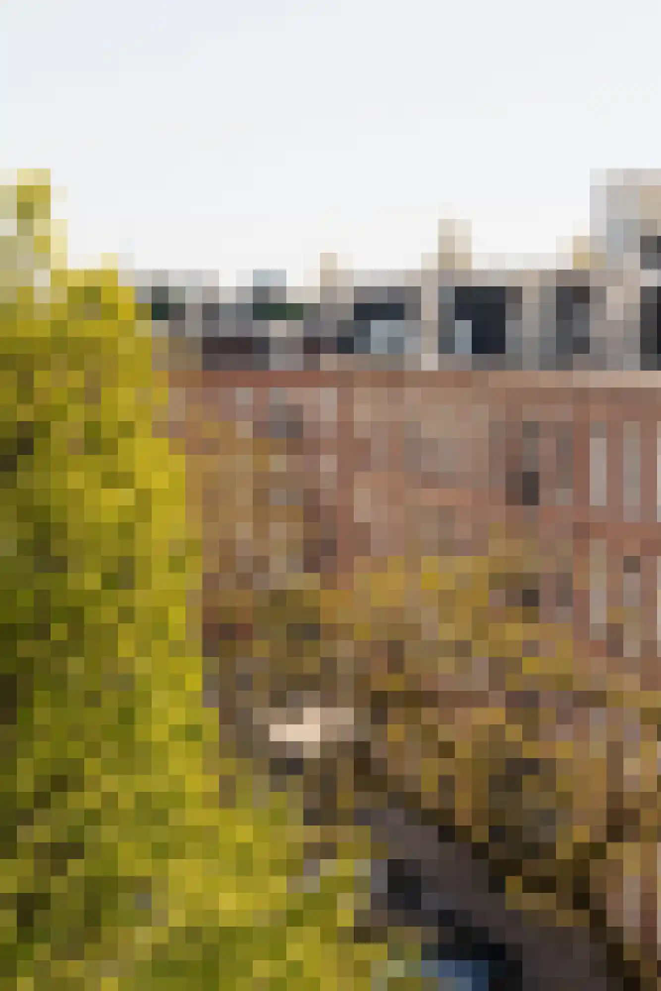 Cornelis Anthoniszstraat 39 3 Amsterdam thumbnail 24