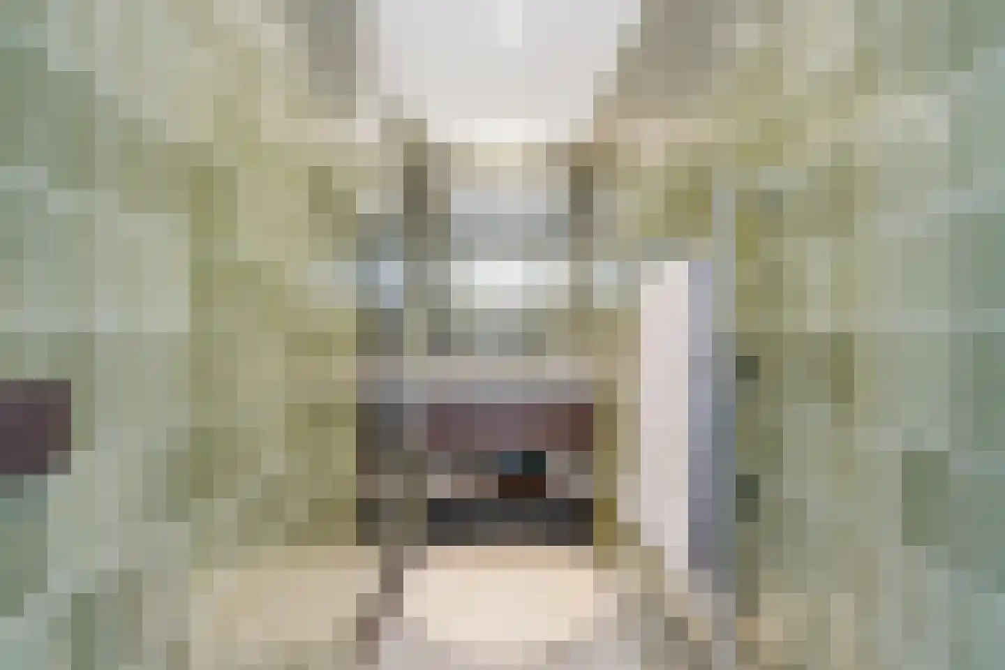 Cornelis Anthoniszstraat 41 1 Amsterdam thumbnail 9