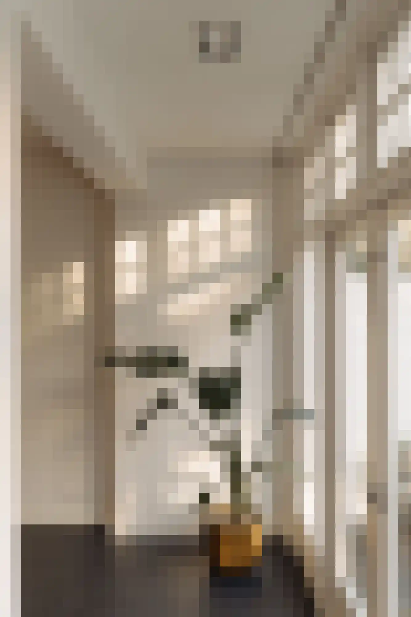 Cornelis Anthoniszstraat 63 H Amsterdam thumbnail 16