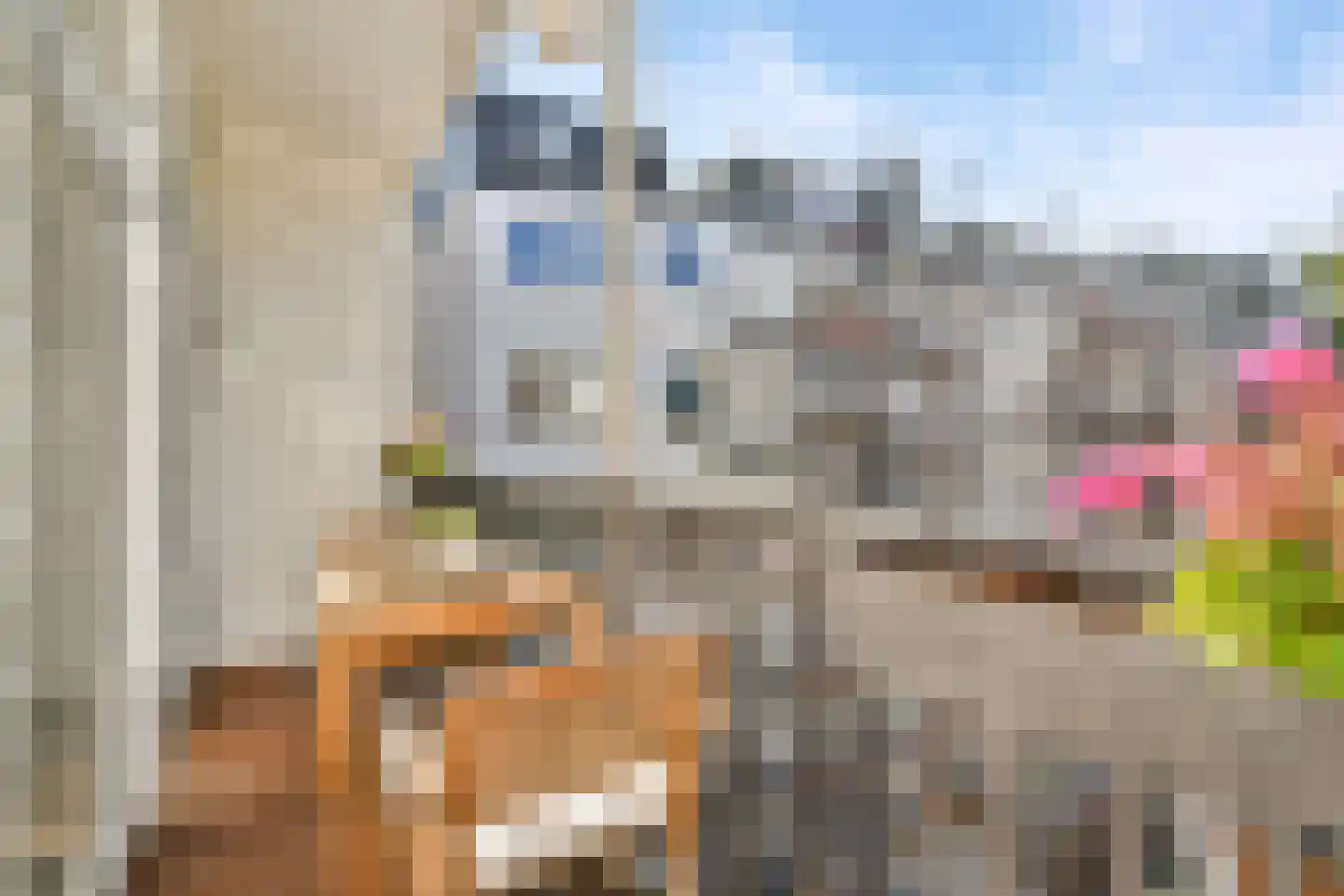 Cornelis Anthoniszstraat 70 3 Amsterdam thumbnail 15