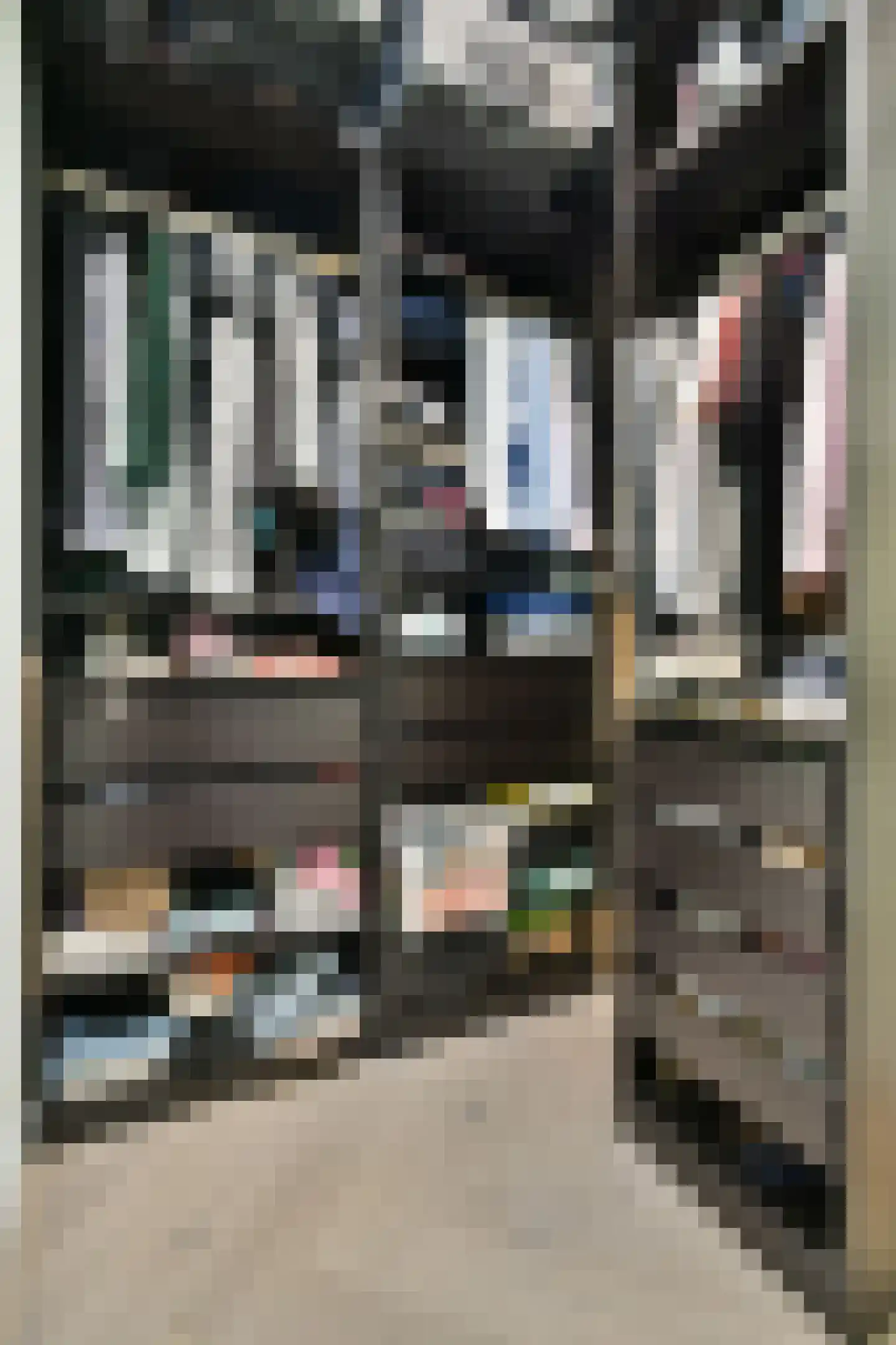 Cornelis Anthoniszstraat 70 3 Amsterdam thumbnail 27
