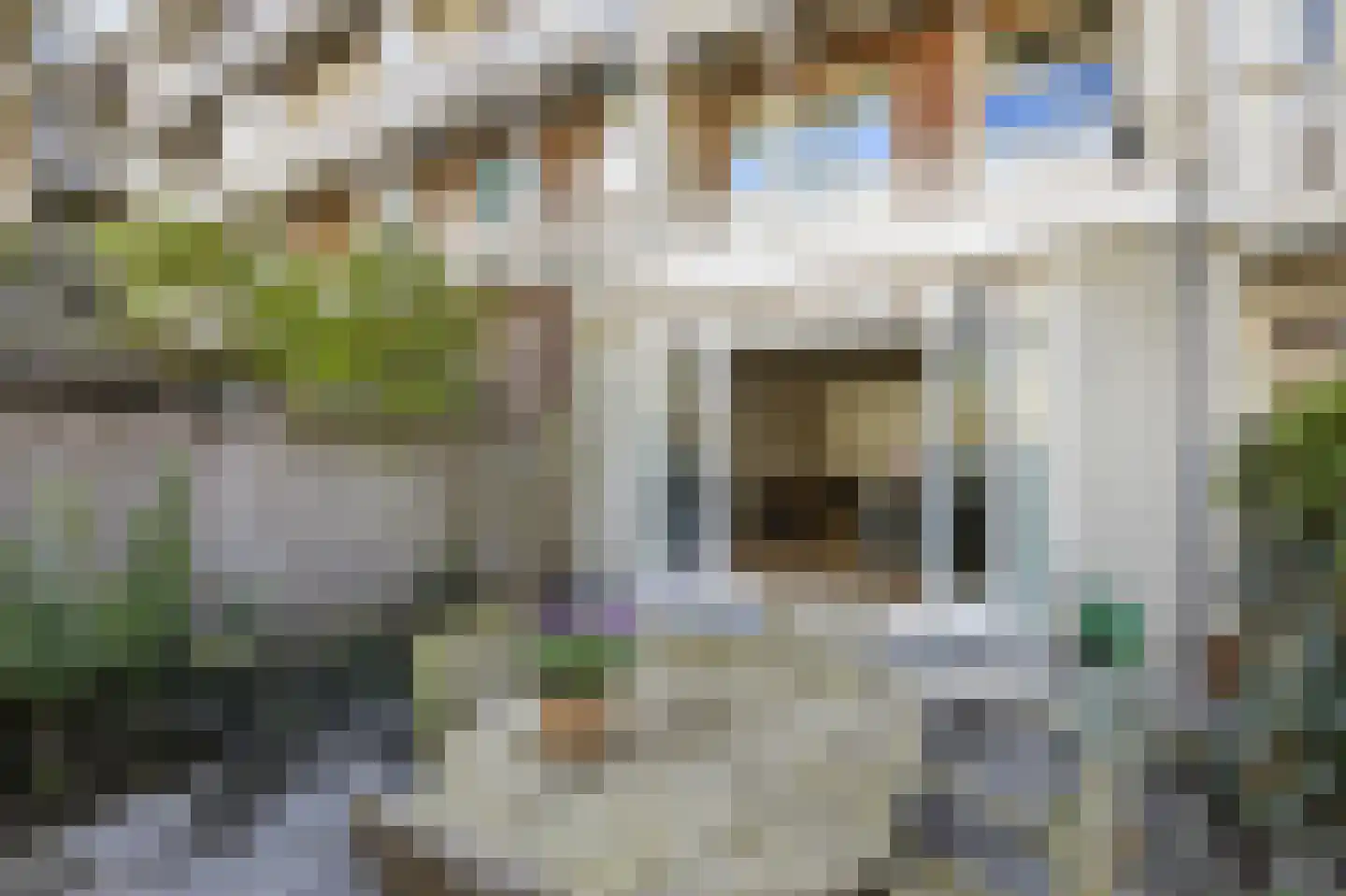 Cornelis Anthoniszstraat 71 H Amsterdam thumbnail 27