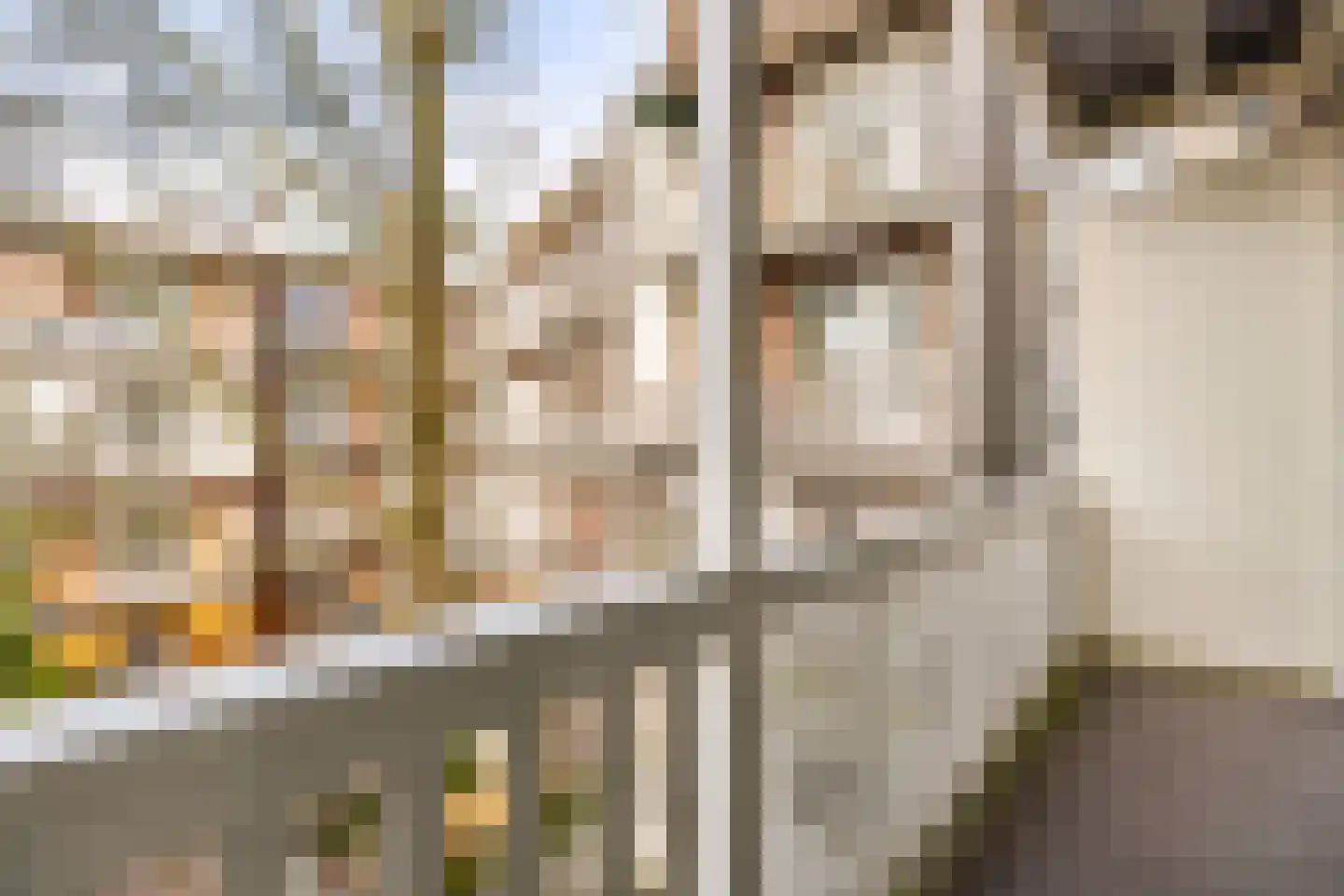 Cornelis Anthoniszstraat 77 1 Amsterdam thumbnail 15