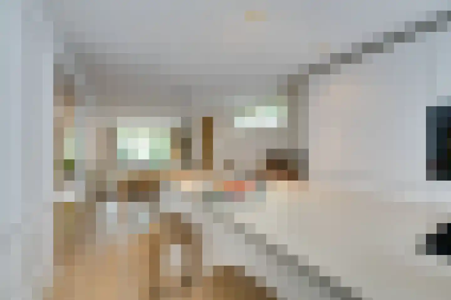 Cornelis Anthoniszstraat 8 H Amsterdam thumbnail 29