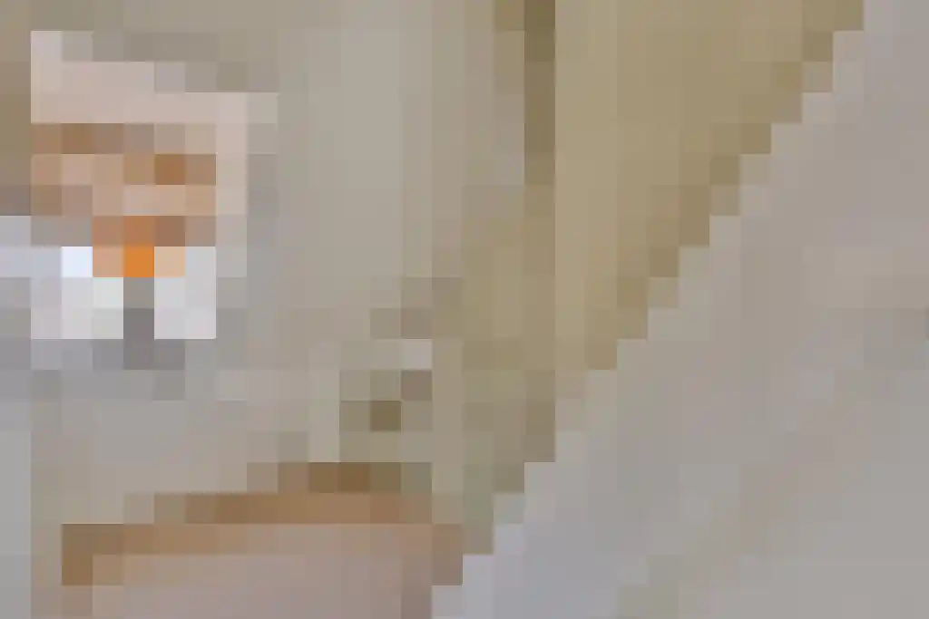 Cornelis Bakkerlaan 1 a Laren thumbnail 13