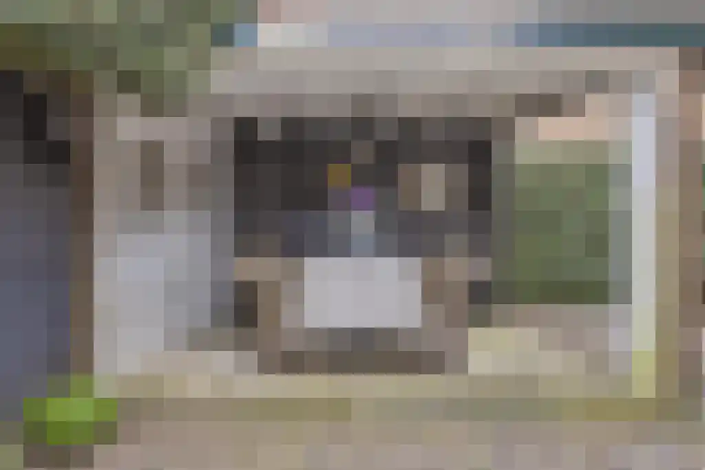 Cornelis Bakkerlaan 1 a Laren thumbnail 23