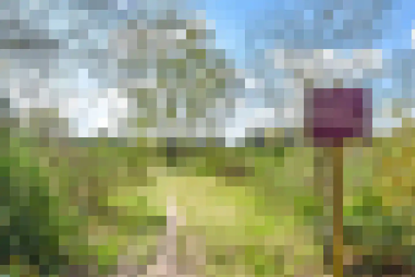 Cornelis Bakkerlaan 1 a Laren thumbnail 30