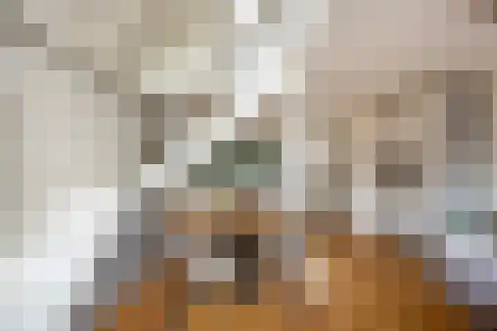Cornelis Bakkerlaan 15 Laren thumbnail 10