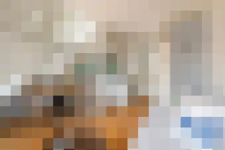 Cornelis Bakkerlaan 15 Laren thumbnail 12