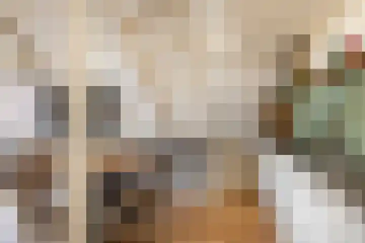 Cornelis Bakkerlaan 15 Laren thumbnail 13