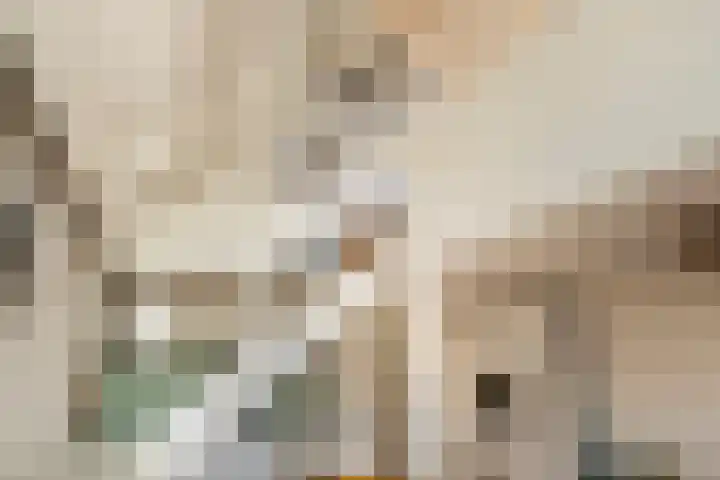 Cornelis Bakkerlaan 15 Laren thumbnail 21