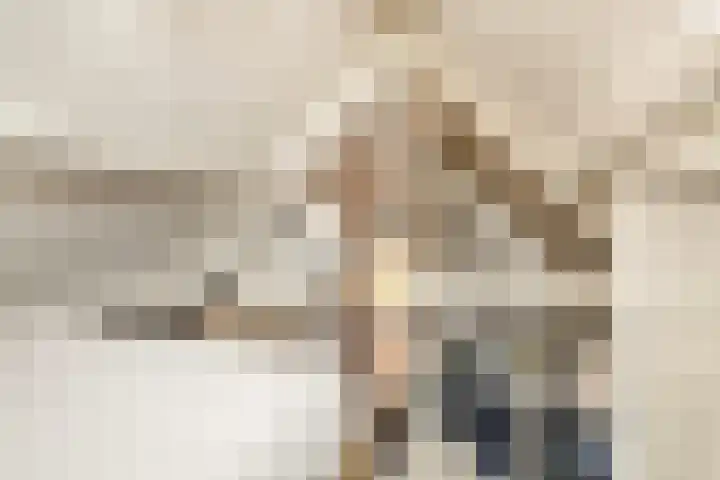 Cornelis Bakkerlaan 15 Laren thumbnail 25