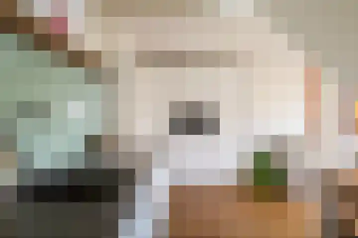 Cornelis Bakkerlaan 15 Laren thumbnail 4