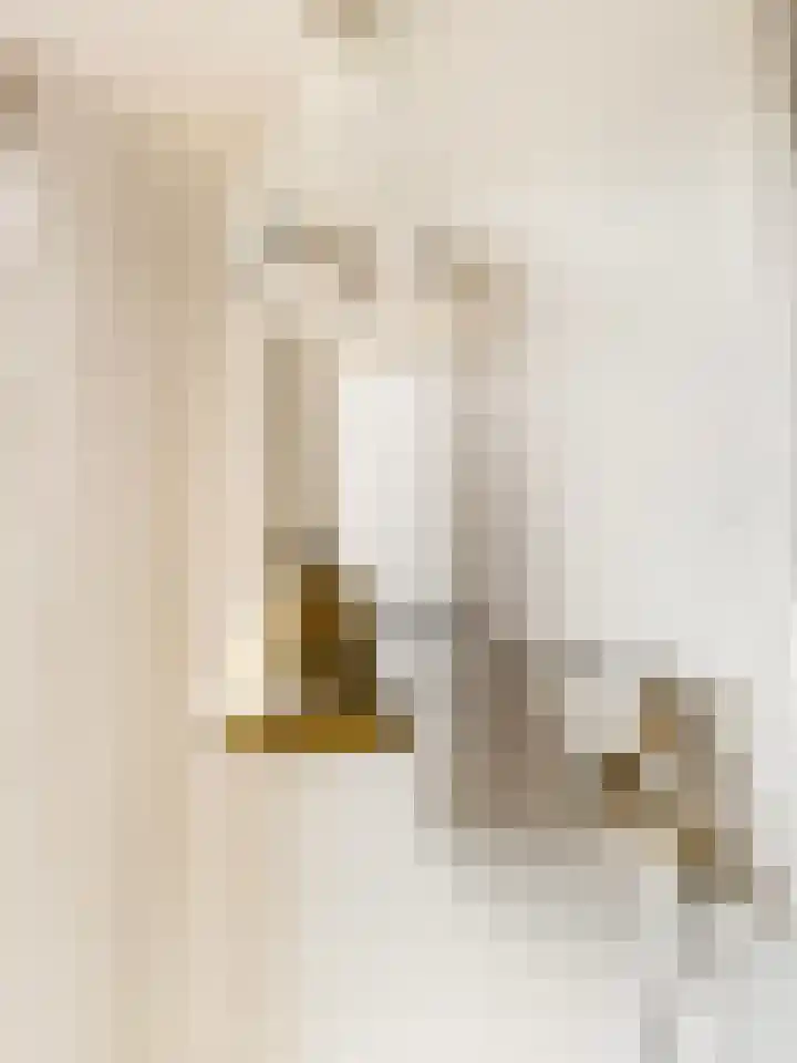Cornelis Bakkerlaan 15 Laren thumbnail 8